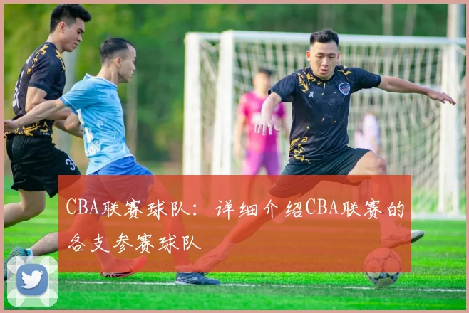CBA联赛球队：详细介绍CBA联赛的各支参赛球队